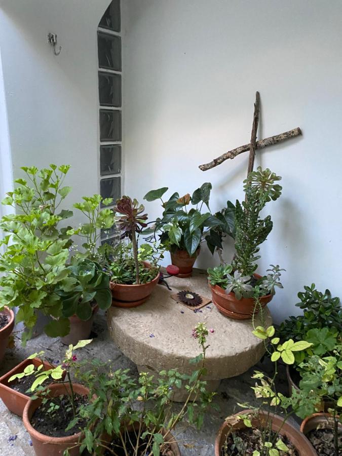 Апартаменти Casa Do Menino Jesus Евора Екстер'єр фото